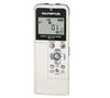 WS-110 Digital Voice Recorder