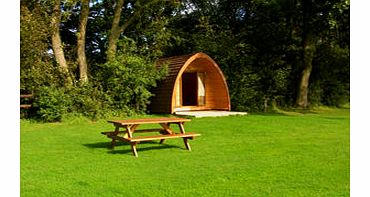 Night Eco Friendly Break in a Camping Pod