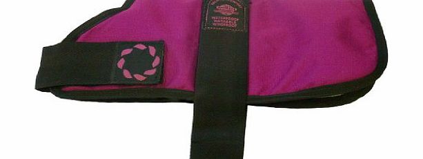 Padded Dog Coat, 12-inch, Raspberry