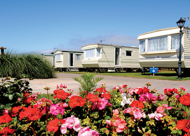 Oyster Catcher Holiday Park