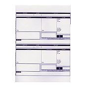 1 Part Laser Address Payslip (2 per sheet) PEG 600