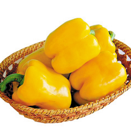 Pepper Yellow Bell F1 Seeds (Pepper) 6 Seeds