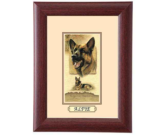 Framed Dog Breed Picture - German Shepherd