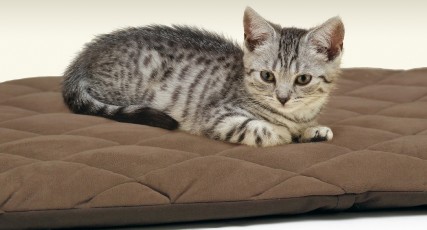 Flectabed Q Brown
