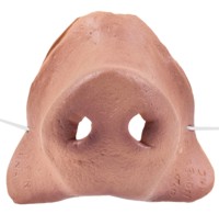 Nose on Elastic
