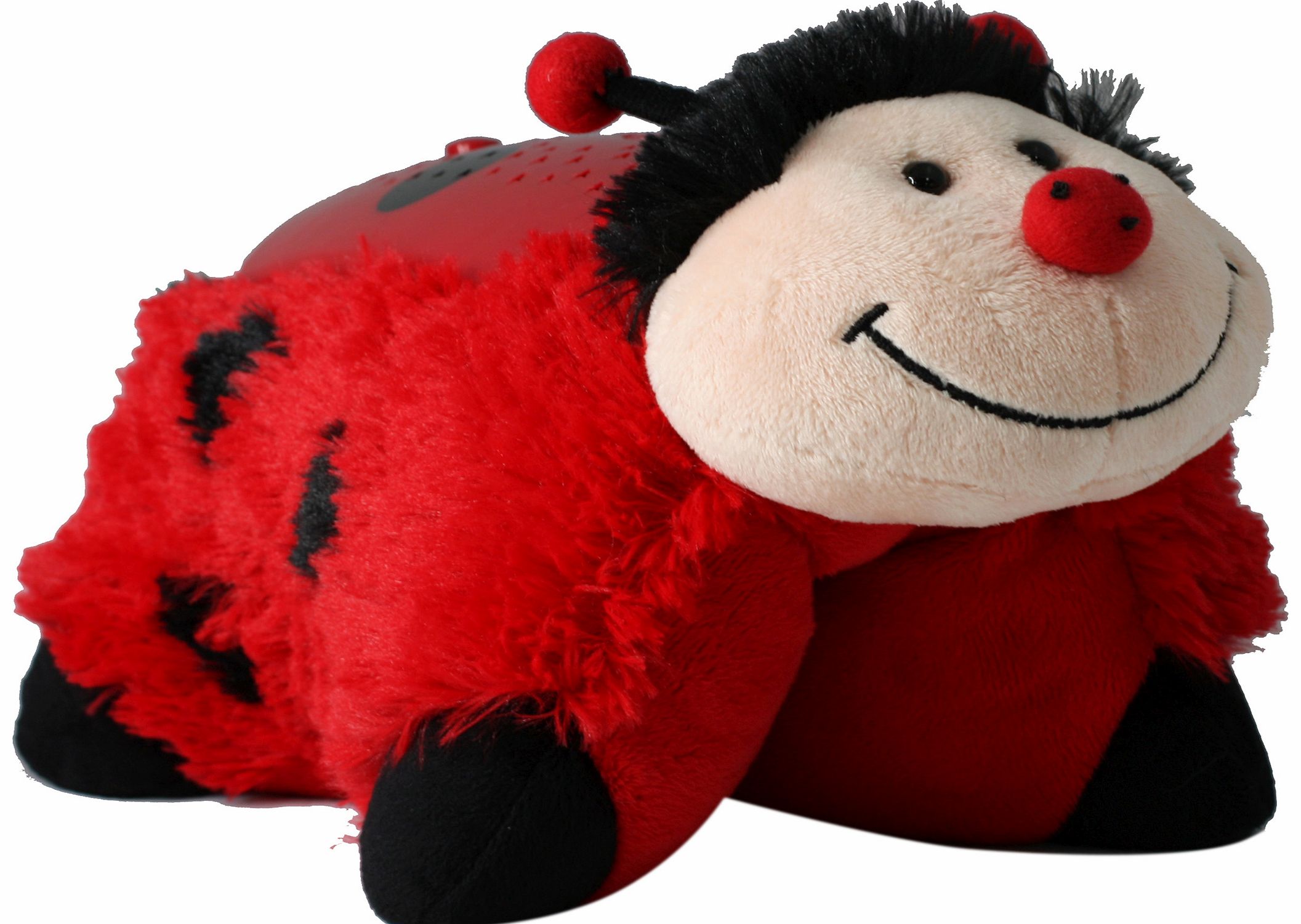 Ms. Ladybug Dreamlite