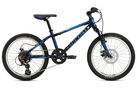 Twenty Disc Kids Bike (20 inch Wheel)