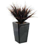 Grasses In Shiny Black Planter