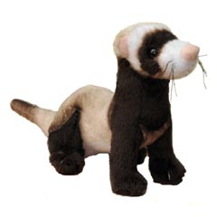 Toy Ferret