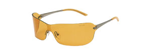 Police 2938 Sunglasses