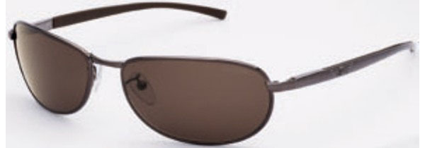 8310 Sunglasses 8310