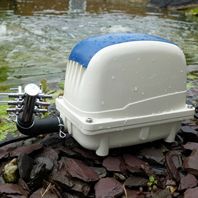 Pondxpert ElectroAir Pump 6000 Plus FREE