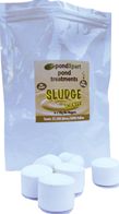 Pondxpert Sludge Shifter Sixpack