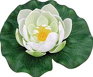 Pontec Pondolily Artificial Plant - White