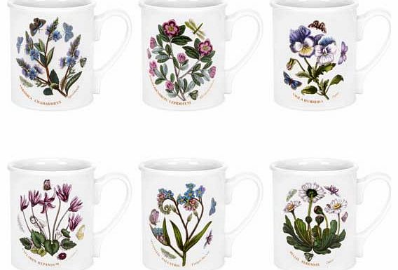 Botanic Garden Breakfast Mug Set of 6