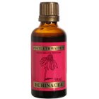 Postlethwaite`s Tincture Echinacea Tincture for the Immune System - 50ml