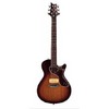 SE One (Tobacco Sunburst)