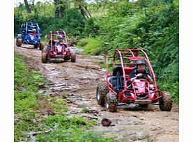 ATV Dune Buggies - ATV/Dune Buggy