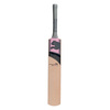 Evolution 4000 GT Adult Cricket Bat