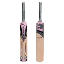 Evolution 4000 Youth Harrow Cricket Bat