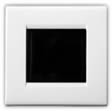 WM22 Roomlink Receiver Eye
