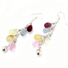 Rainbow Droplets Crystal Earrings