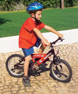 Raleigh Skoota 16in Boys Cycle