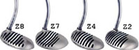 Zebra Putter