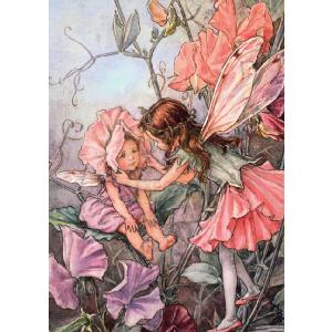 Flower Fairies 1000 Piece Jigsaw Puzzle