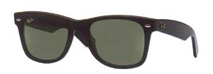 2113 Polarised sunglasses