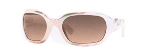 RayBan 4062 Sunglasses