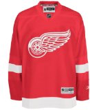 Detroit Redwings - # 39 Hasek Customised Jersey