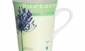 Garden Agapanthis Mug Mug