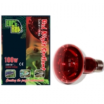 Euro Rep Red Night Spot Lamp 60 Watt Bayonet