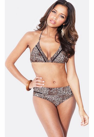 Mesh Insert Triangle Bikini Top and Shorts
