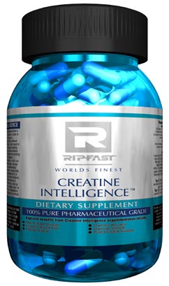 Creatine Intelligence Perfect KRE