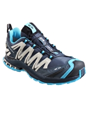 Mens XA Pro 3D Ultra 2 GTX Trail Shoe - Deep Blue