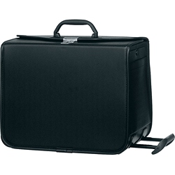 Scopic Pilot Trolley Case