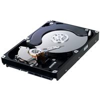 hard drive 640GB Spinpoint SATA II