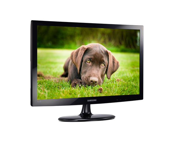 Samsung LT19C300