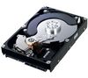 Spinpoint F1 HD642JJ Internal Hard Drive - 3.5`