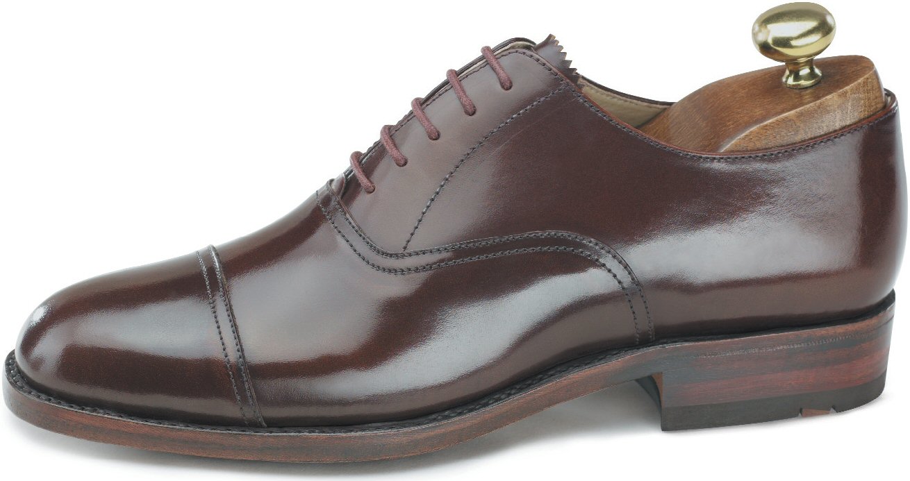 Classic Oxford: Brown