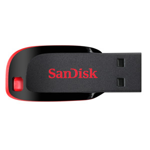 SanDisk Cruzer Blade 8GB USB Flash Drive