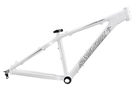 Santa Cruz Chameleon 2009 Mountain Bike Frame