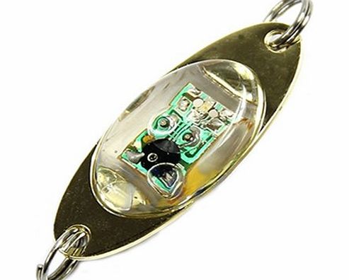 Sanwood LED Underwater Eye Shape Fishing Fish Lure Light Flashing Lamp (Multi-Color)