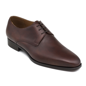 Brown Derby Men` Shoe