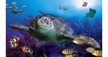 SEA LIFE Sanctuary Tickets