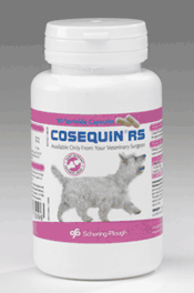 Cosequin Regular Strength