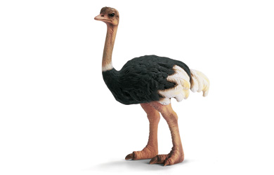 schleich Ostrich