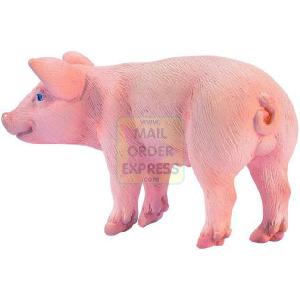 Piglet Standing